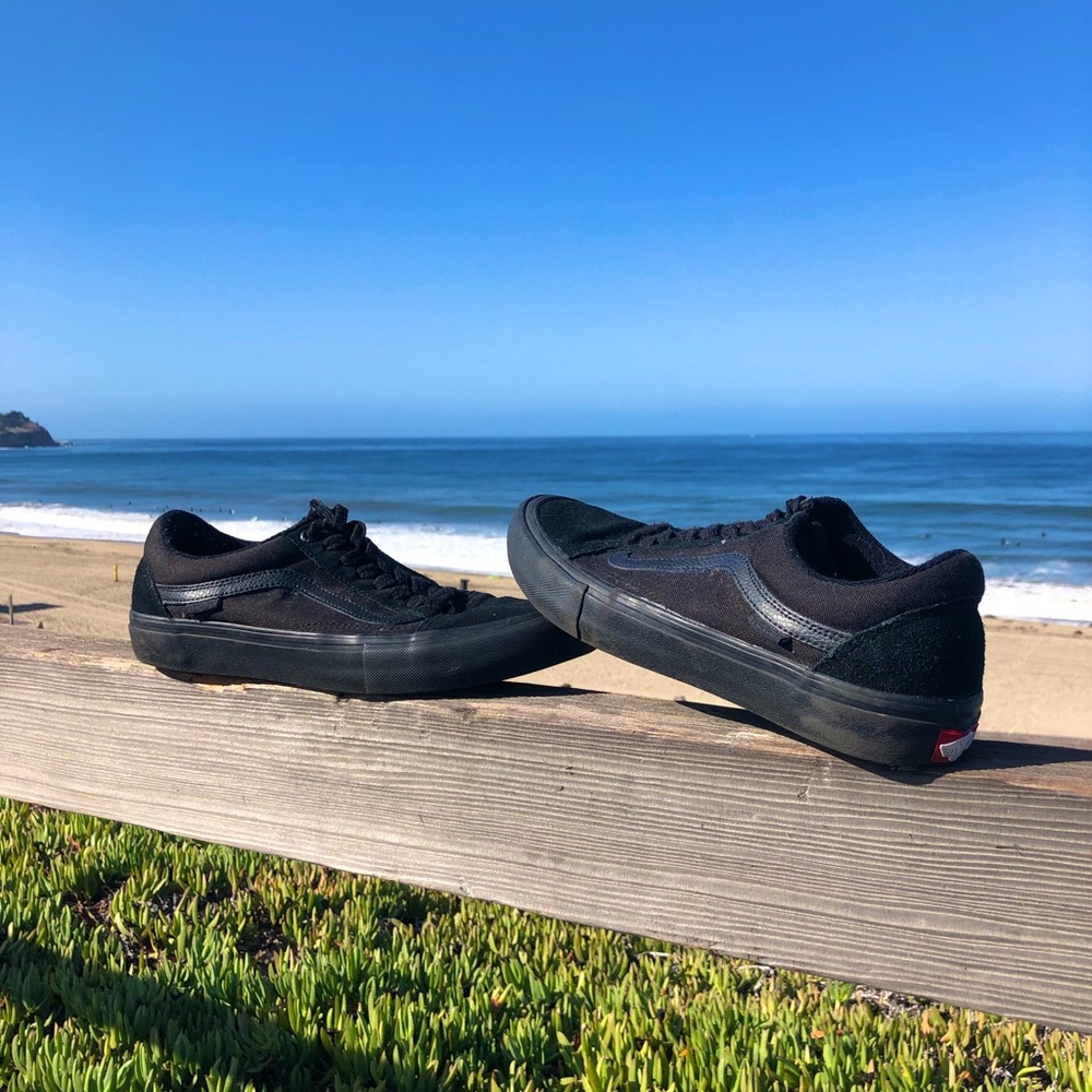 Vans Skate Shoes